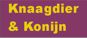 knaagdier en konijn
