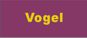 vogel